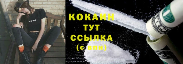 гашиш Богданович
