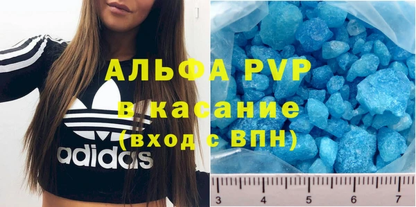гашиш Богданович