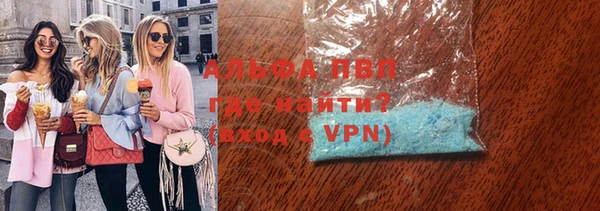 гашиш Богданович