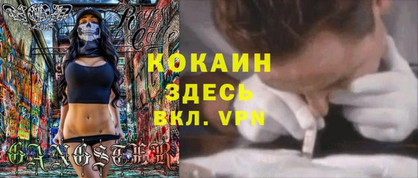 гашиш Богданович