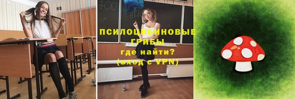 гашиш Богданович
