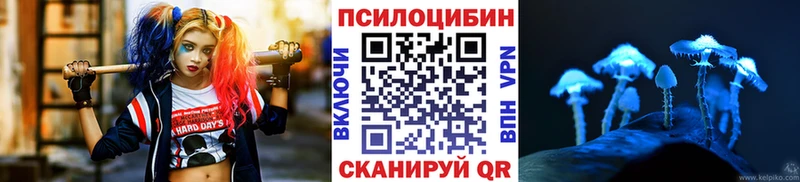 Псилоцибиновые грибы Cubensis  Неман 